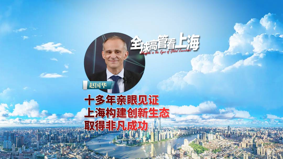打造在上海的網絡推廣帝國：戰略、渠道和執行 (打造在上海的企業)
