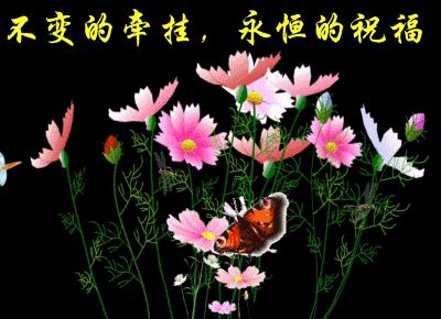 讓您的安康業(yè)務(wù)騰飛：深入解析百度推廣策略