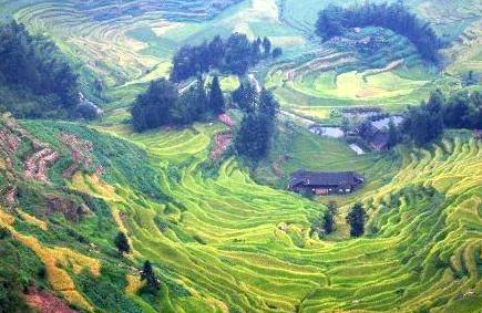 懷化 SEO 優(yōu)化最佳實踐：優(yōu)化您的網(wǎng)站以提升搜索引擎可見度 (懷化網(wǎng)站優(yōu)化公司)