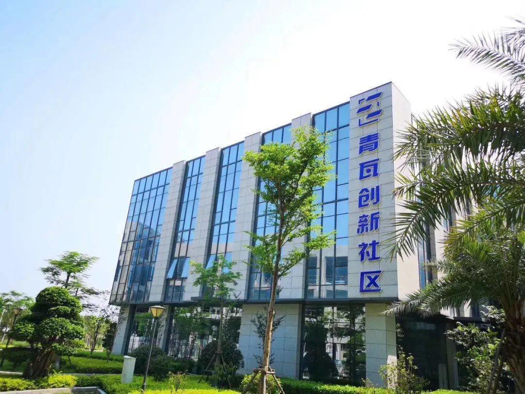 合肥網站開發服務：助力您的業務騰飛 (合肥網站開發招聘信息)