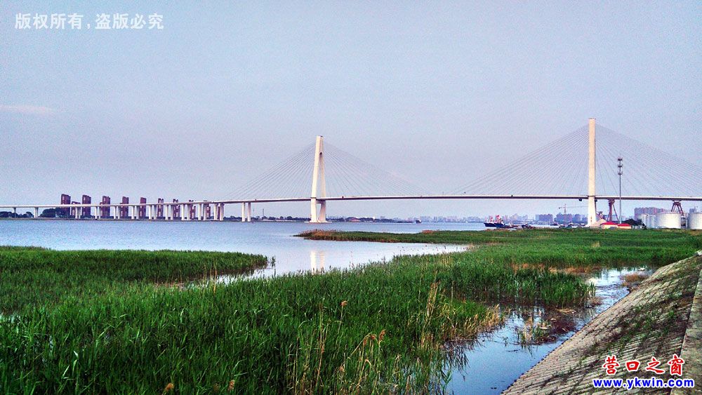 營口最值得信賴的建站專家：為您打造專業(yè)的在線形象 (營口有名的地方)