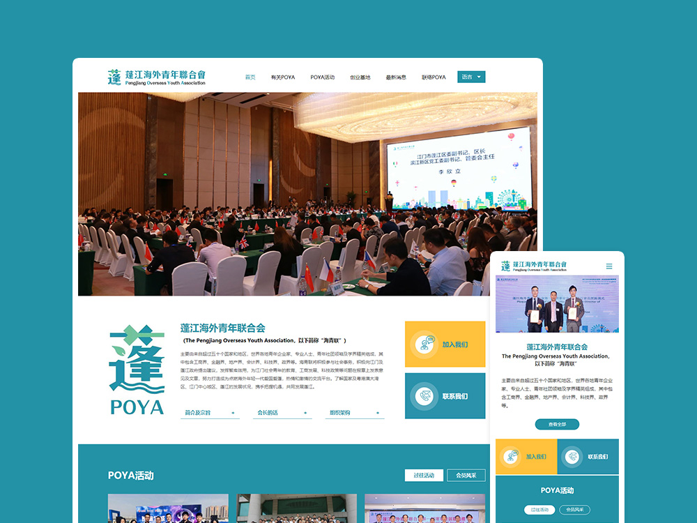 網站優化與推廣指南：建立強有力的在線影響力并推動業務增長 (網站優化與推廣的區別)