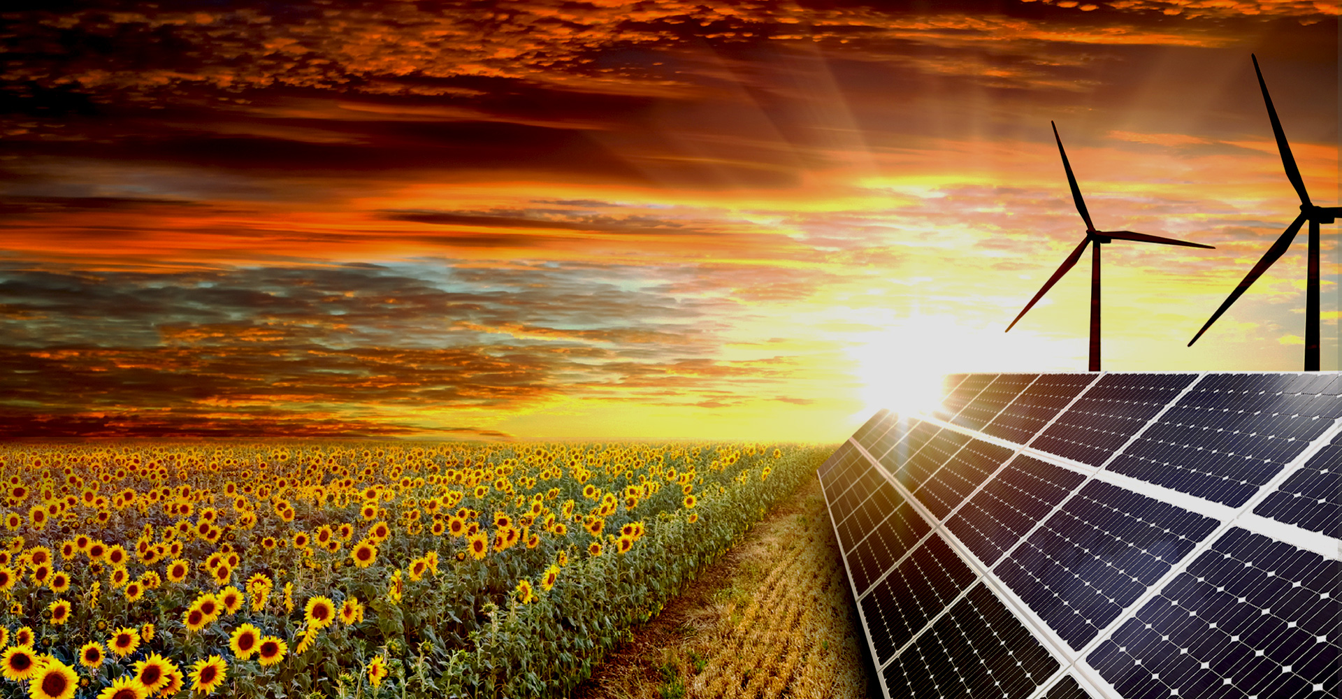 釋放優化潛力：創新方法提升企業績效 (釋放優化潛力的措施)