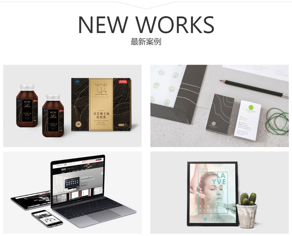 專業(yè)網站設計公司：提升您的在線形象 (專業(yè)網站設計企業(yè))