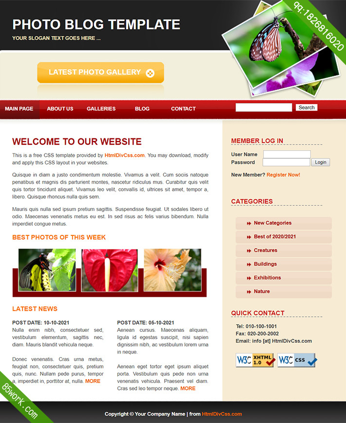 編寫網站設計報告的完整指南：從規劃到執行 (編寫網站設計流程)