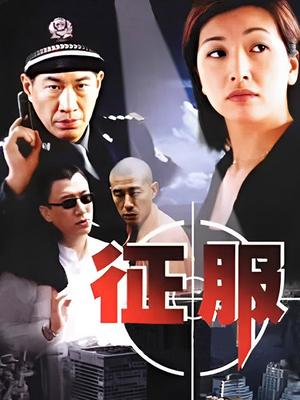 征服搜索引擎：全面的搜索優(yōu)化策略，助你優(yōu)化網站 (征服搜索引擎下載)