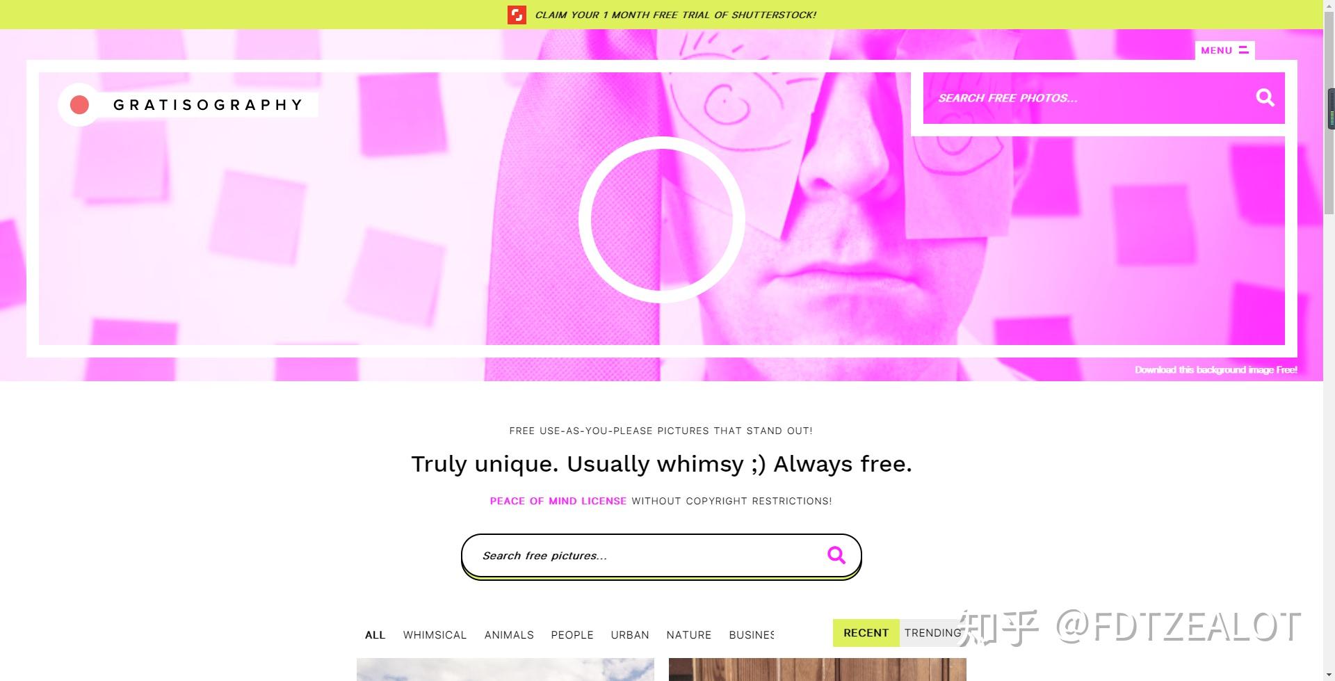 釋放您對網絡的創造力