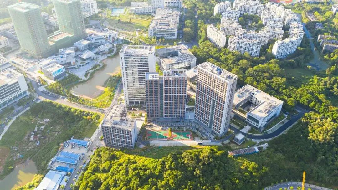 東莞專業網站制作：從框架搭建到內容優化一站式服務 (東莞專業網站建設技術)