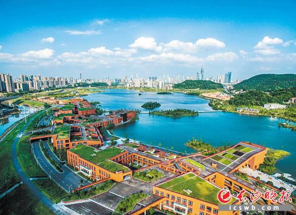 提升長(zhǎng)沙關(guān)鍵詞排名的策略和技巧，主宰本地搜索 (長(zhǎng)沙提質(zhì)改造三年行動(dòng)計(jì)劃)