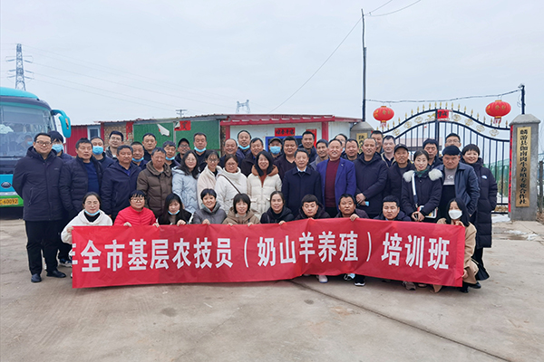 提升陜西網(wǎng)站流量指南：全面探索 SEO 優(yōu)化策略 (陜西省網(wǎng)絡(luò))