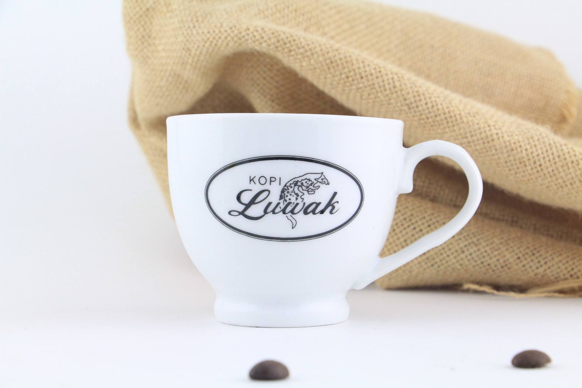 您的定制數字體驗：打造卓越高端網站的終極指南 (數字化定制)