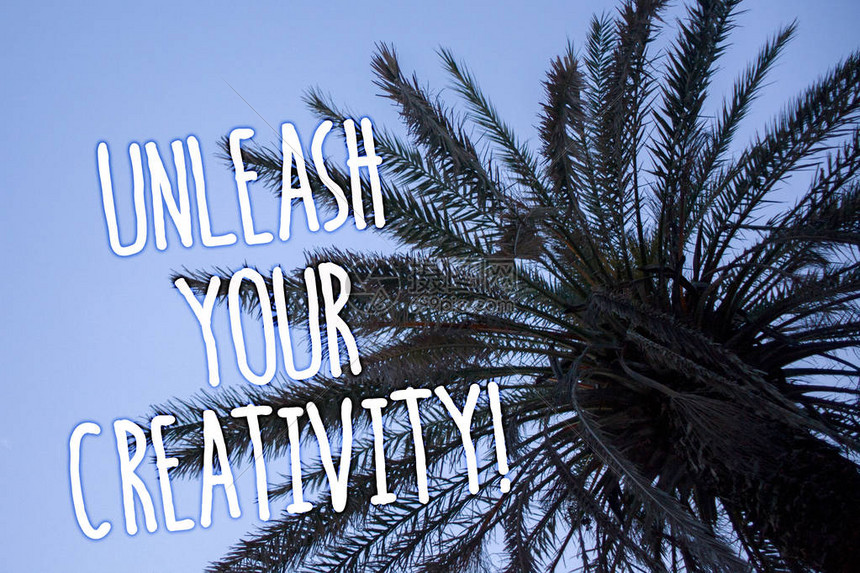 釋放你的創造力：在免費網頁設計平臺上創建迷人的網站 (釋放你的創造力閱讀理解答案)