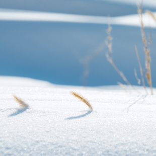 快速便捷的個人網站注冊服務：打造你的在線形象 (有最快捷便利的方法)