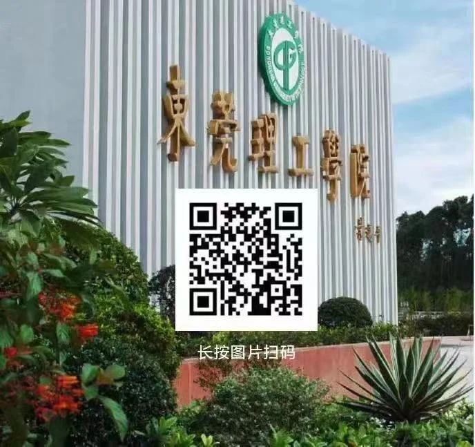 深入鉆研東莞網站優化秘籍，提升網站流量和排名