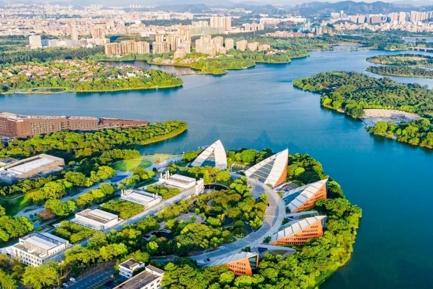 揭秘東莞網站優化SEO制勝之道，打造高轉化率網站 (揭秘東莞網站是什么)