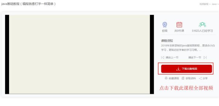 新手指南：從零開始建立令人驚嘆的網站 (從新手到)