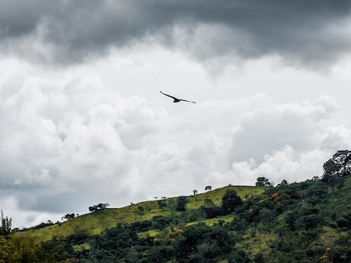 掌握網(wǎng)站開發(fā)