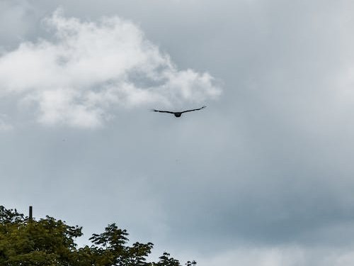 網站建設預算指南：定制網站的成本評估 (網站建設預算明細表)