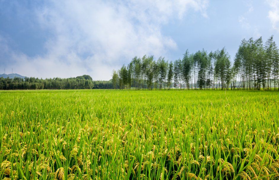 一站式小工程承包解決方案：從招標(biāo)到完工 (一站式工程服務(wù)平臺)