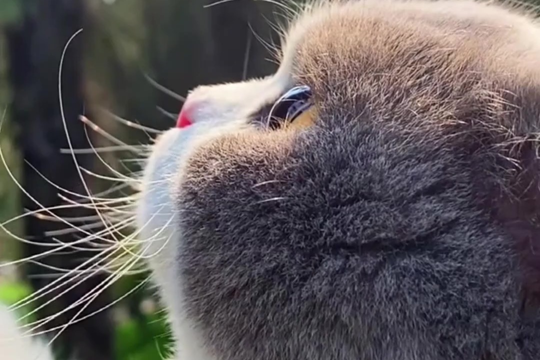 從眾多精美的網站搭建模板中選擇，讓您的網站脫穎而出