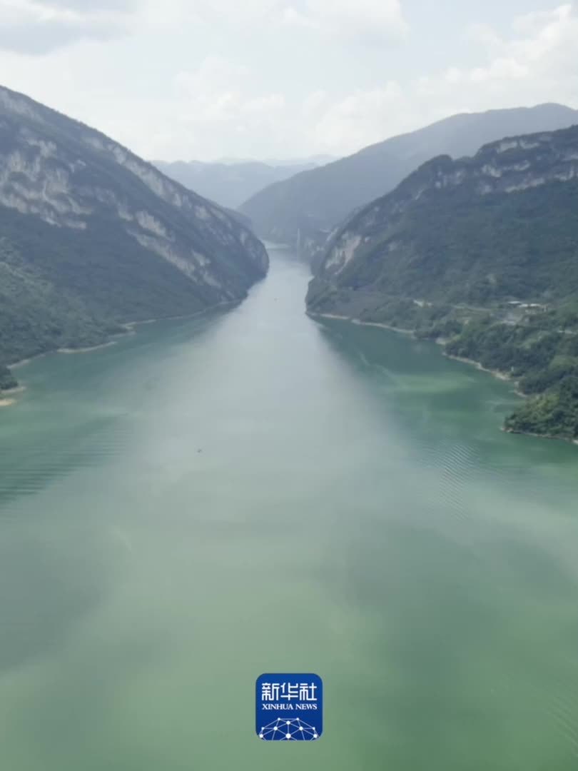 優化你的重慶業務在線可見度：一步一步的SEO指南 (重慶優化公司)