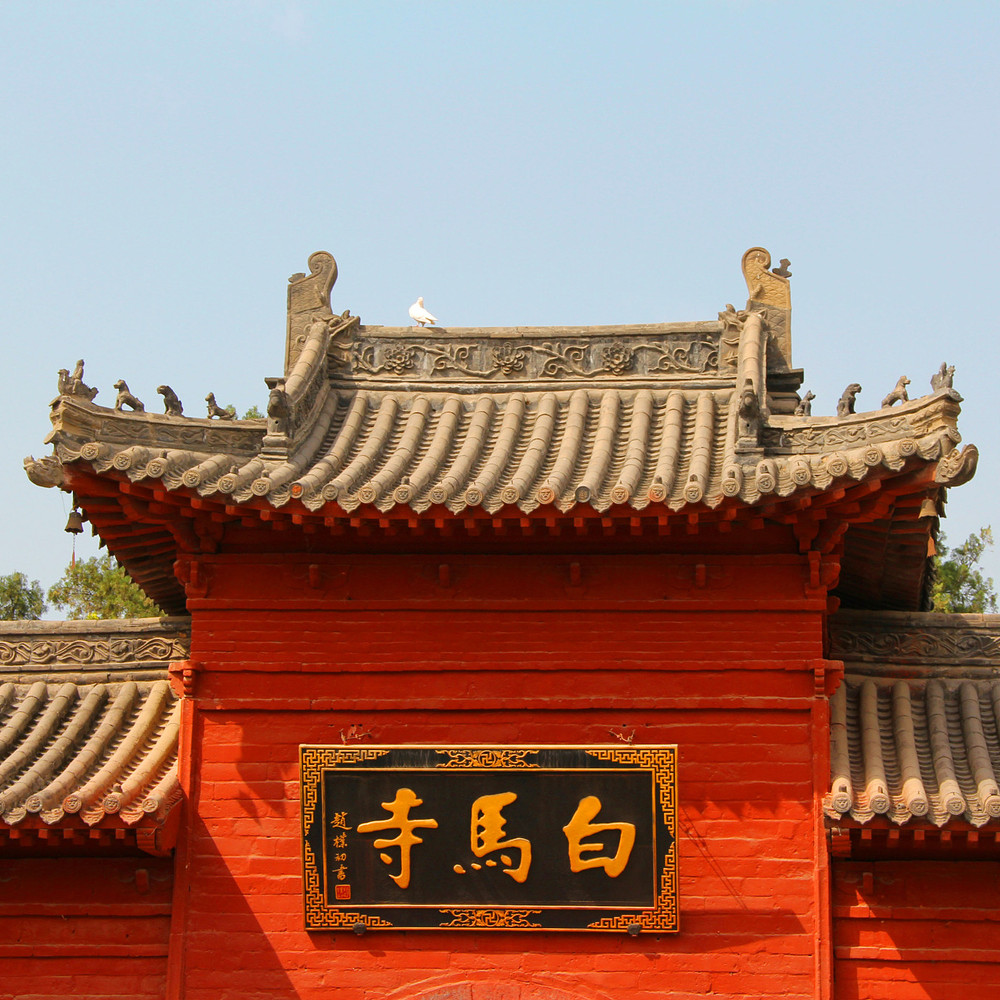 在洛陽尋找經濟的網站建設解決方案？了解最劃算的選擇 (在洛陽尋找經銷商電話)