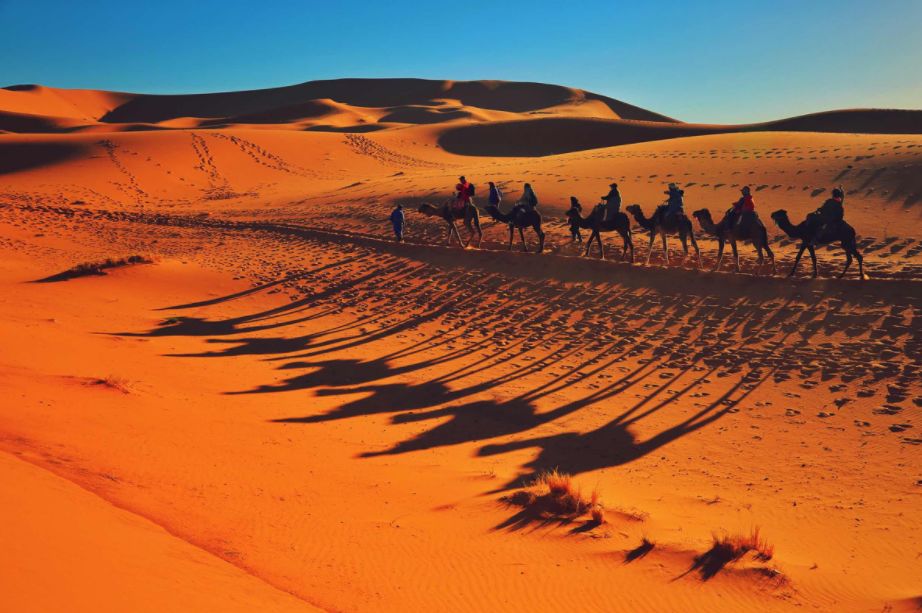 撒哈拉沙漠：研究其嚴酷的自然環境、游牧民族和經濟發展挑戰。