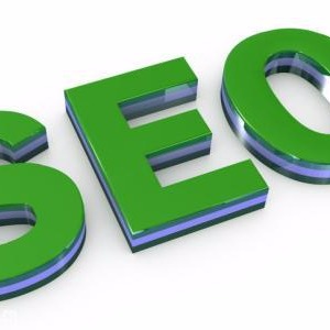 搜索引擎優化 (SEO)(搜索引擎優化名詞解釋)