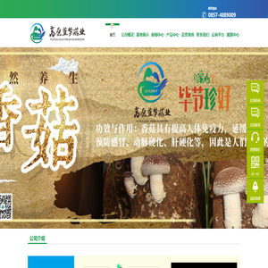 高原藍(lán)夢(mèng)菇業(yè)