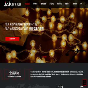 寧海縣恒澤電器有限公司丨手電筒