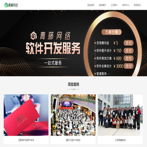 青藤網(wǎng)絡(luò)