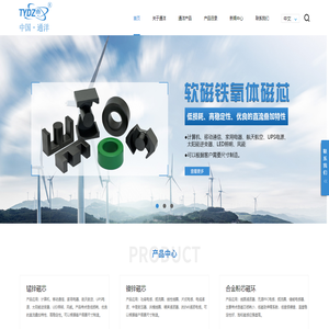 廣州市通洋電子有限公司