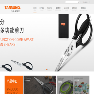 陽江市小天星實業有限公司