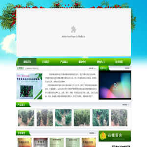 曼地亞紅豆杉,曼地亞紅豆杉苗木,曼地亞紅豆杉基地,河南南陽西峽寶福康紅豆杉種植有限公司