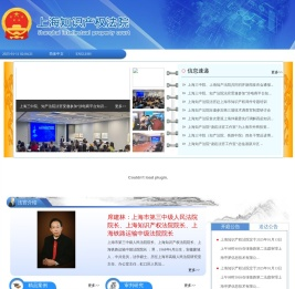 上海知識產權法院