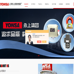 RS系列電阻器,RK