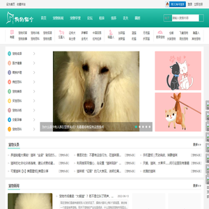 寵物喂養(yǎng)護(hù)理訓(xùn)練醫(yī)療健康