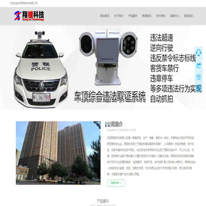 沈陽翔視科技有限公司