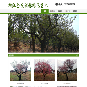 浙江紅梅批發供應商