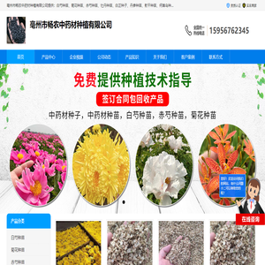 牡丹種苗價(jià)格