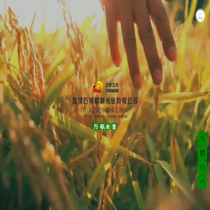 盤(pán)錦蟹田大米