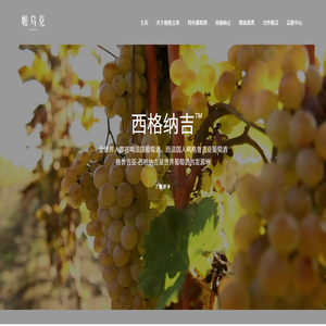 紹興帕烏克進出口有限公司