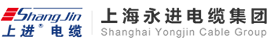 上進(jìn)電纜